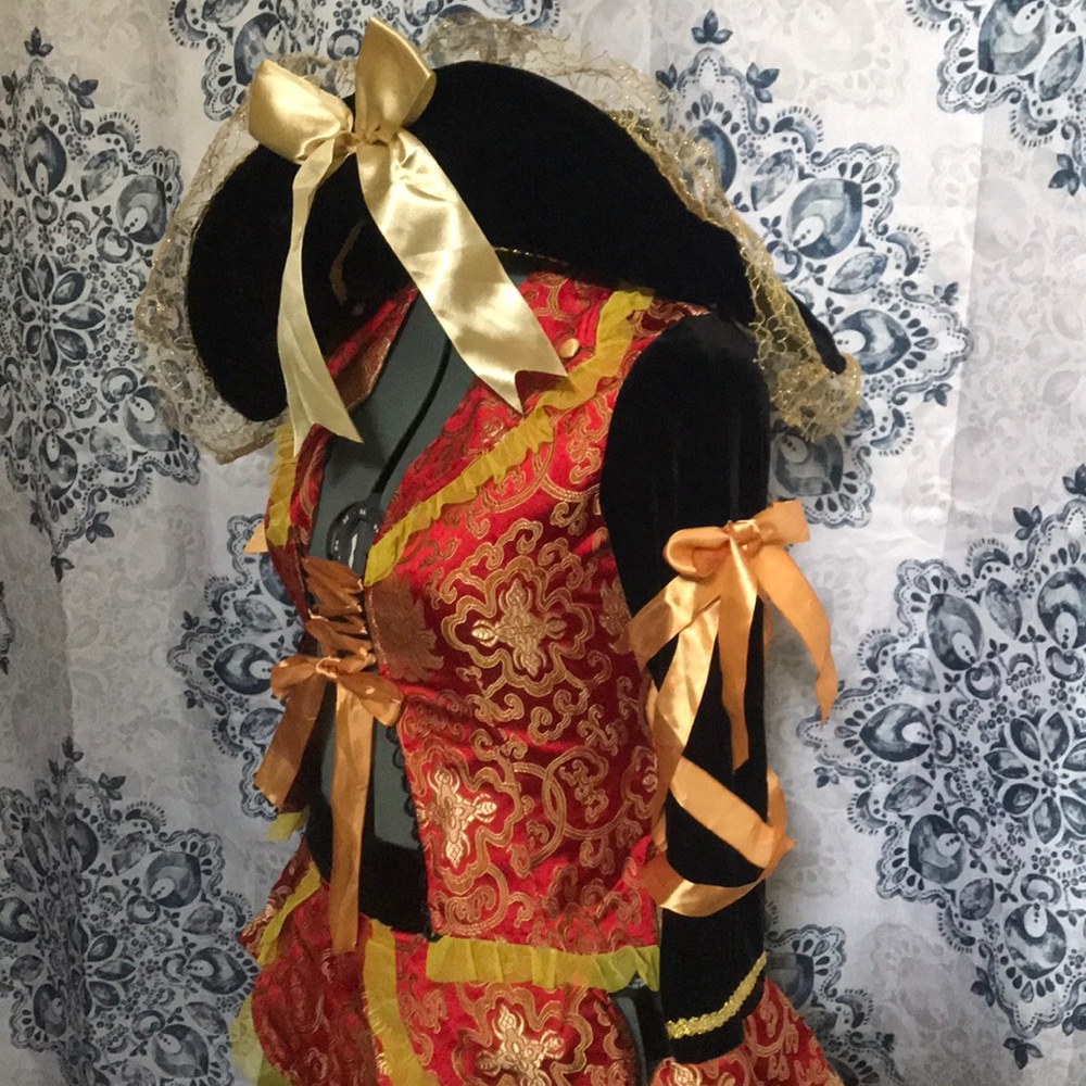 Pirate Black and Gold Women's Costume